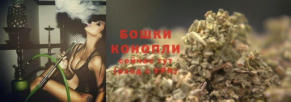 молекула духа Лихославль