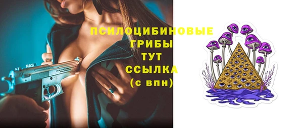 прущие крисы Кукмор