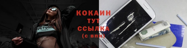 МДПВ Липки