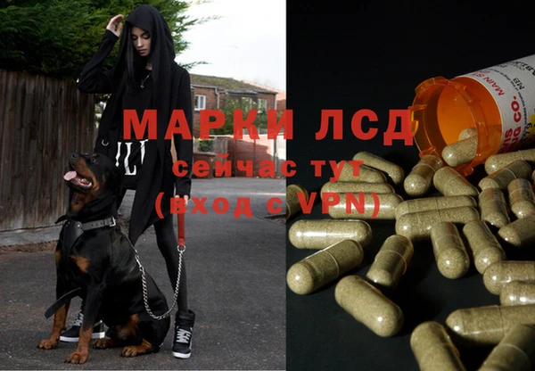 spice Кулебаки