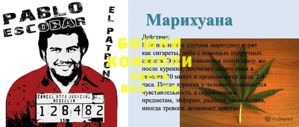 молекула духа Лихославль
