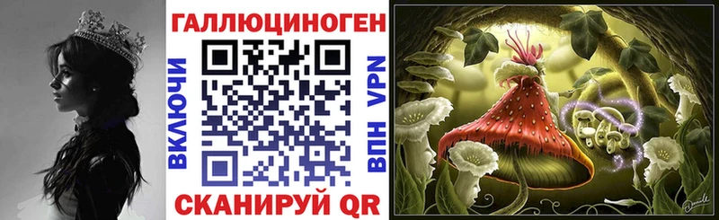 Галлюциногенные грибы Psilocybe  Медвежьегорск 